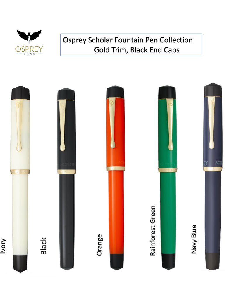 Scholar Zebra G Fountain Pen